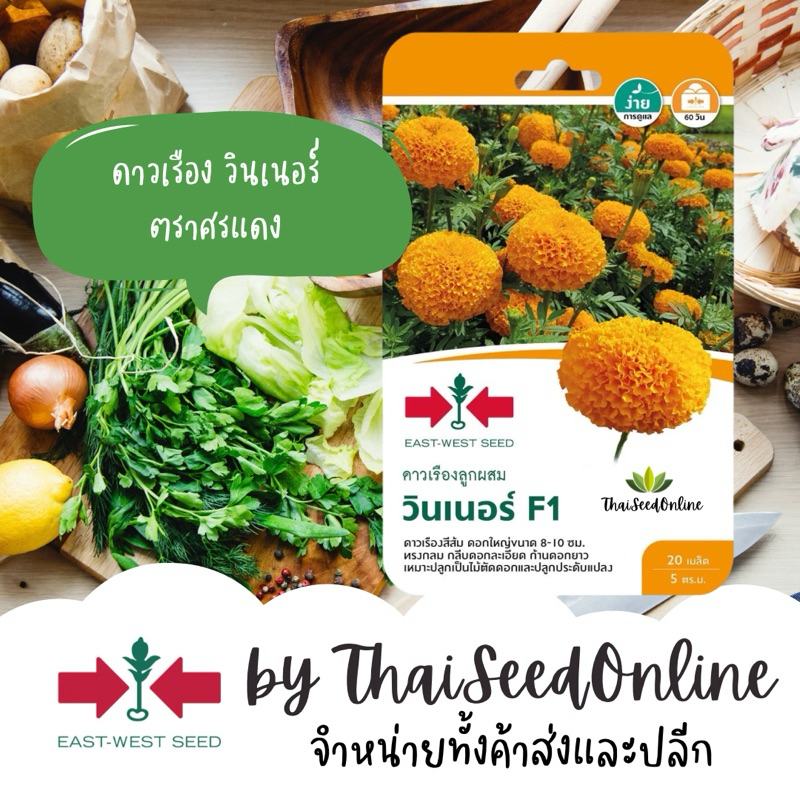 Sorndang(ศรแดง) GGEW เมล็ดพันธุ์ ดาวเรือง วินเนอร์ ประมาณ 20เมล็ด ตราศรแดง Winner Marigold