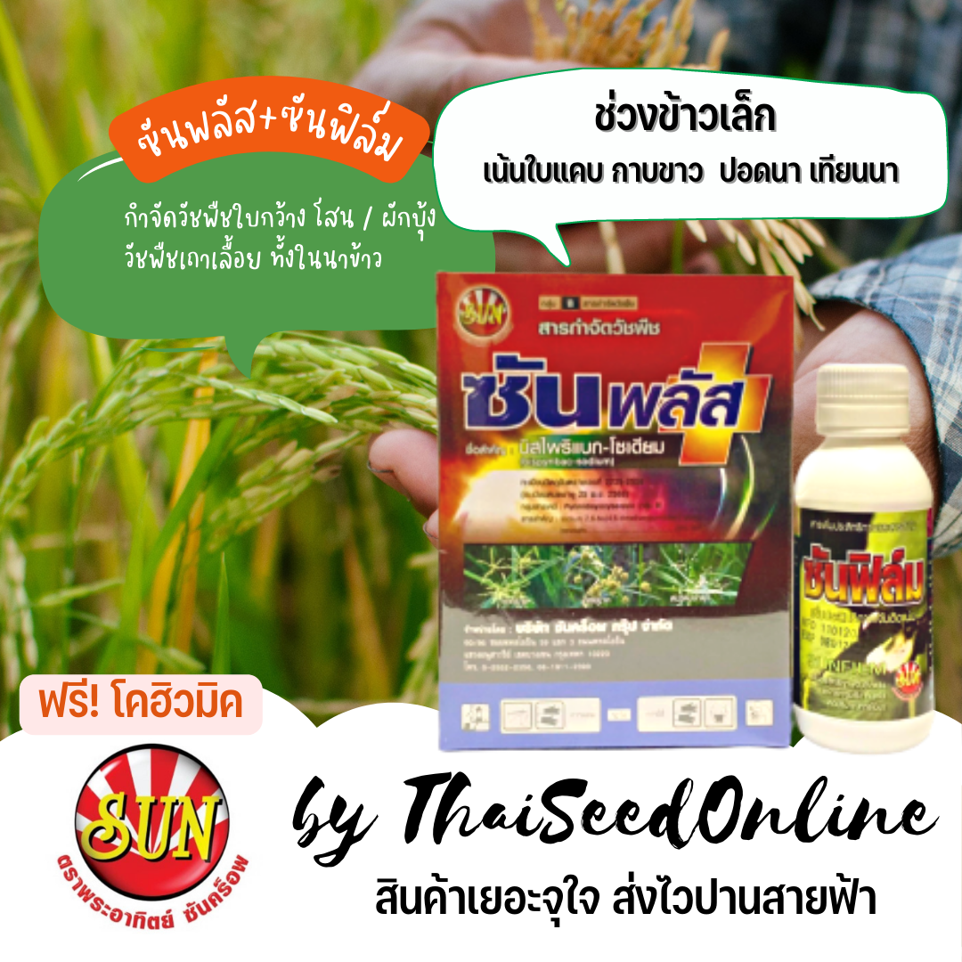 ชุดปราบหญ้า ซันพลัส ซันฟิลม์ ยากำจัดหญ้าในนาข้าว