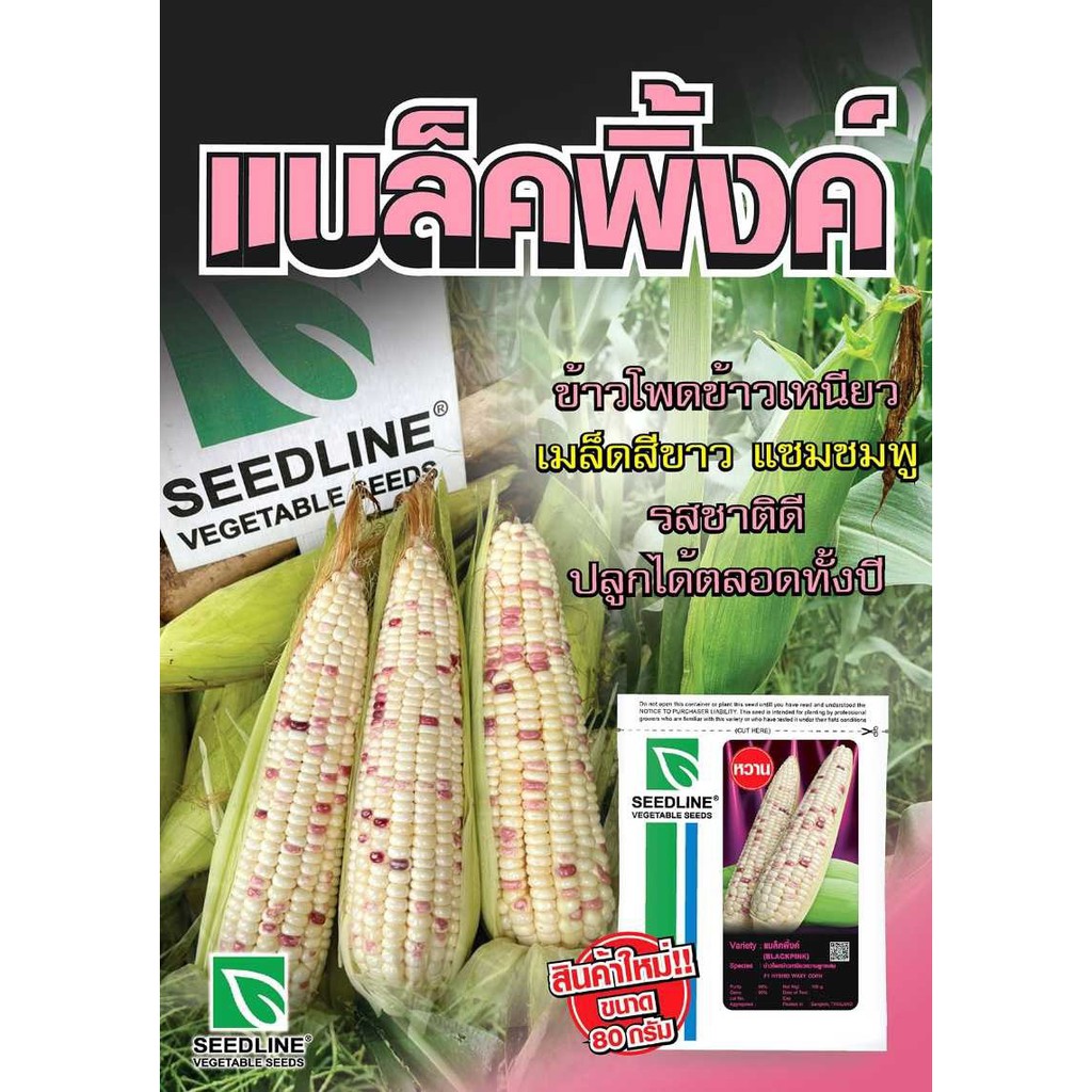 🔥 ใหม่ล่าสุด 🔥80กรัม ข้าวโพดคละแบบ ตราซีดไลน์ ข้าวโพดหวาน ข้าวโพดข้าวเหนียว Corn