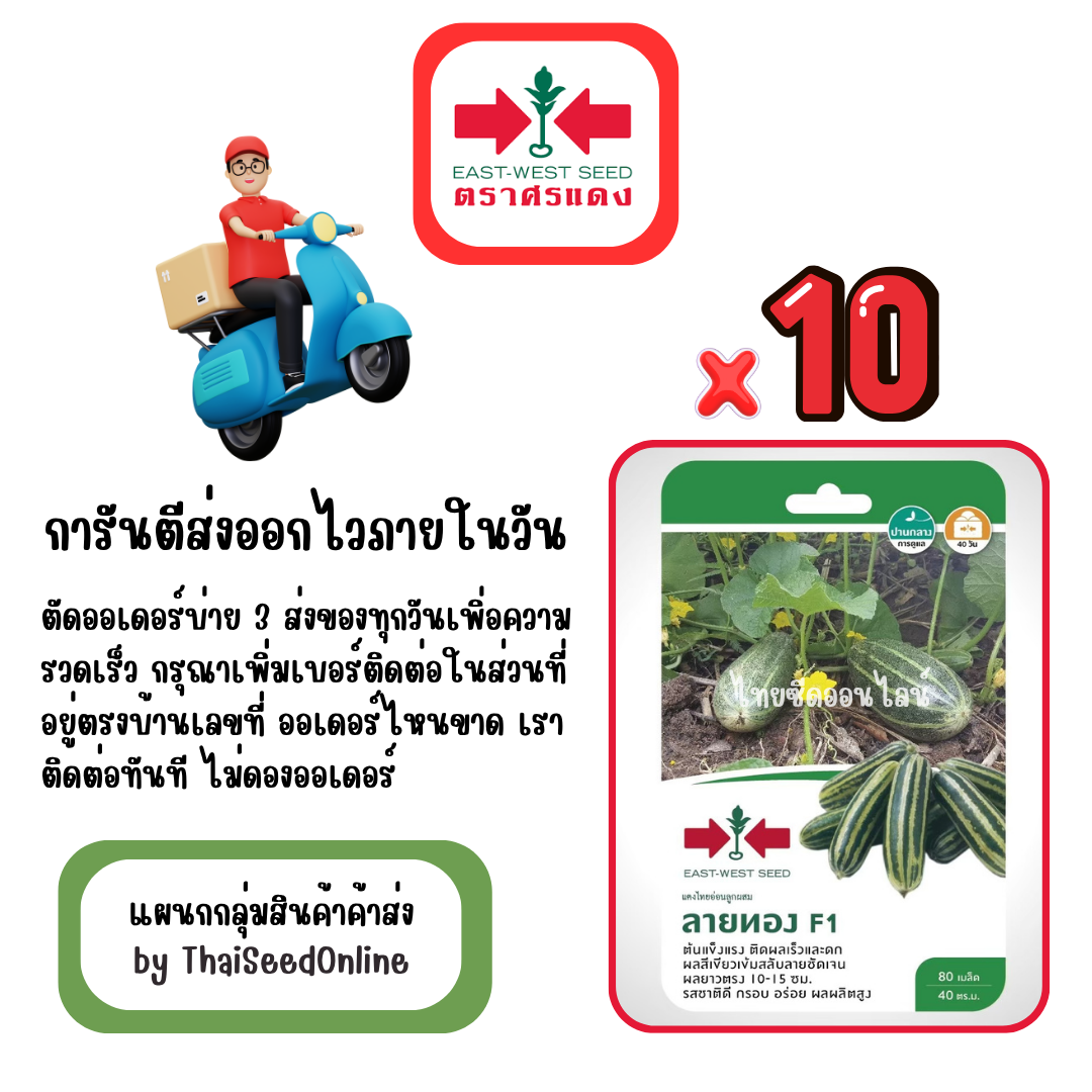 GGx10 เมล็ดผักซองศรแดง ลายทอง แตงไทยอ่อน สินค้ายกแพ็ค
