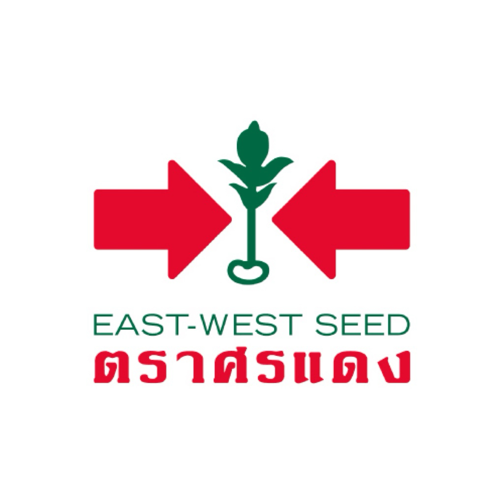 Sorndang(ศรแดง) GGEW เมล็ดพันธุ์ แคนตาลูป ศิลามณี 546 40 เมล็ด ตราศรแดง Cantaloupe