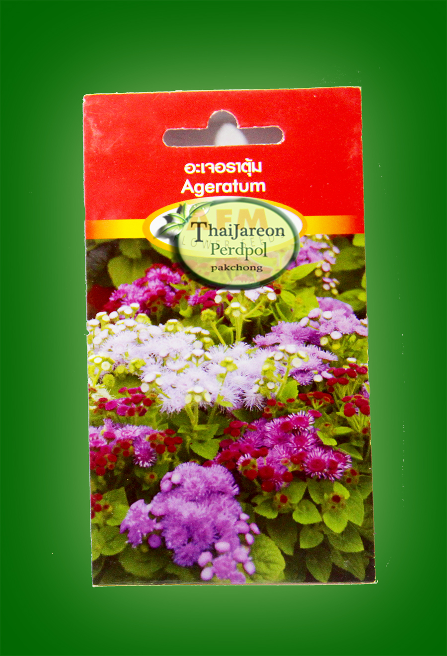 Ageratum