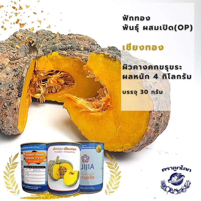 กป 30 กรัม เมล็ดพันธุ์ ฟักทองเชียงทอง ผิวคางคก