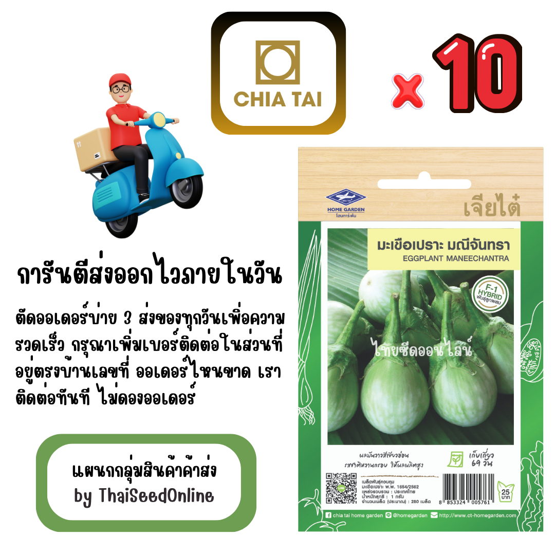 CTF1 x 10 เมล็ดผักซองเจียไต๋ มะเขือเปราะ มณีจันทรา สินค้ายกแพ็ค