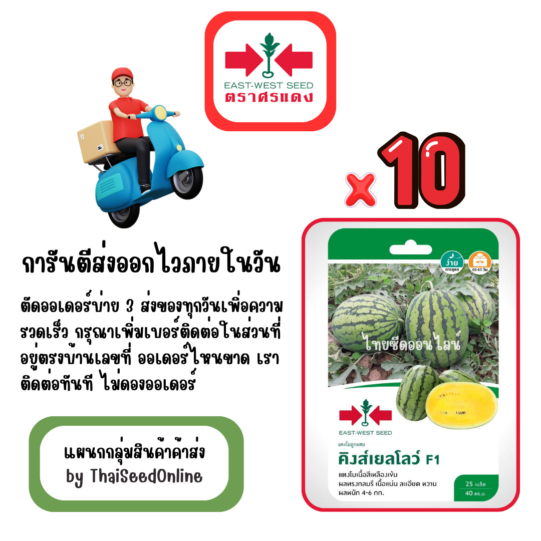 GGx10 เมล็ดผักซองศรแดง คิงส์เยลโล่ว์ แตงโม สินค้ายกแพ็ค