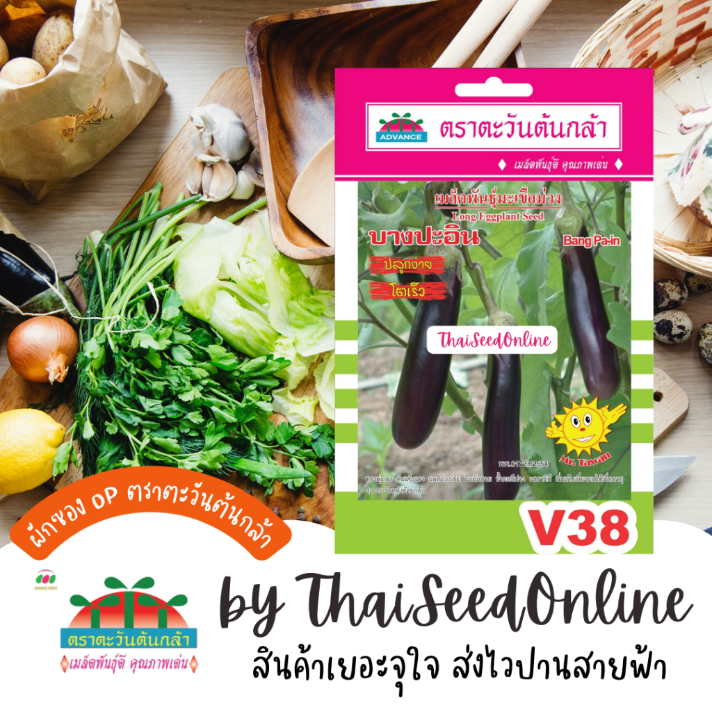 Advance Seeds(ตราตะวันต้นกล้า) ADVOP ซฟ เมล็ดพันธุ์ มะเขือยาวม่วง บางปะอิน ตราตะวันต้นกล้า V38