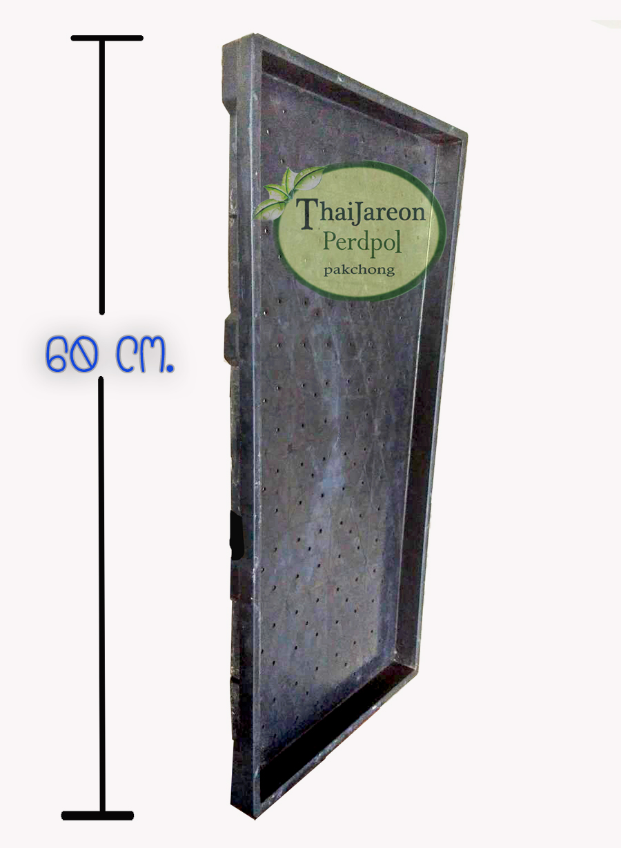 ถาดเพาะต้นอ่อนทานตะวัน ถาดเพาะต้นอ่อน ถาดเพาะถั่วงอก