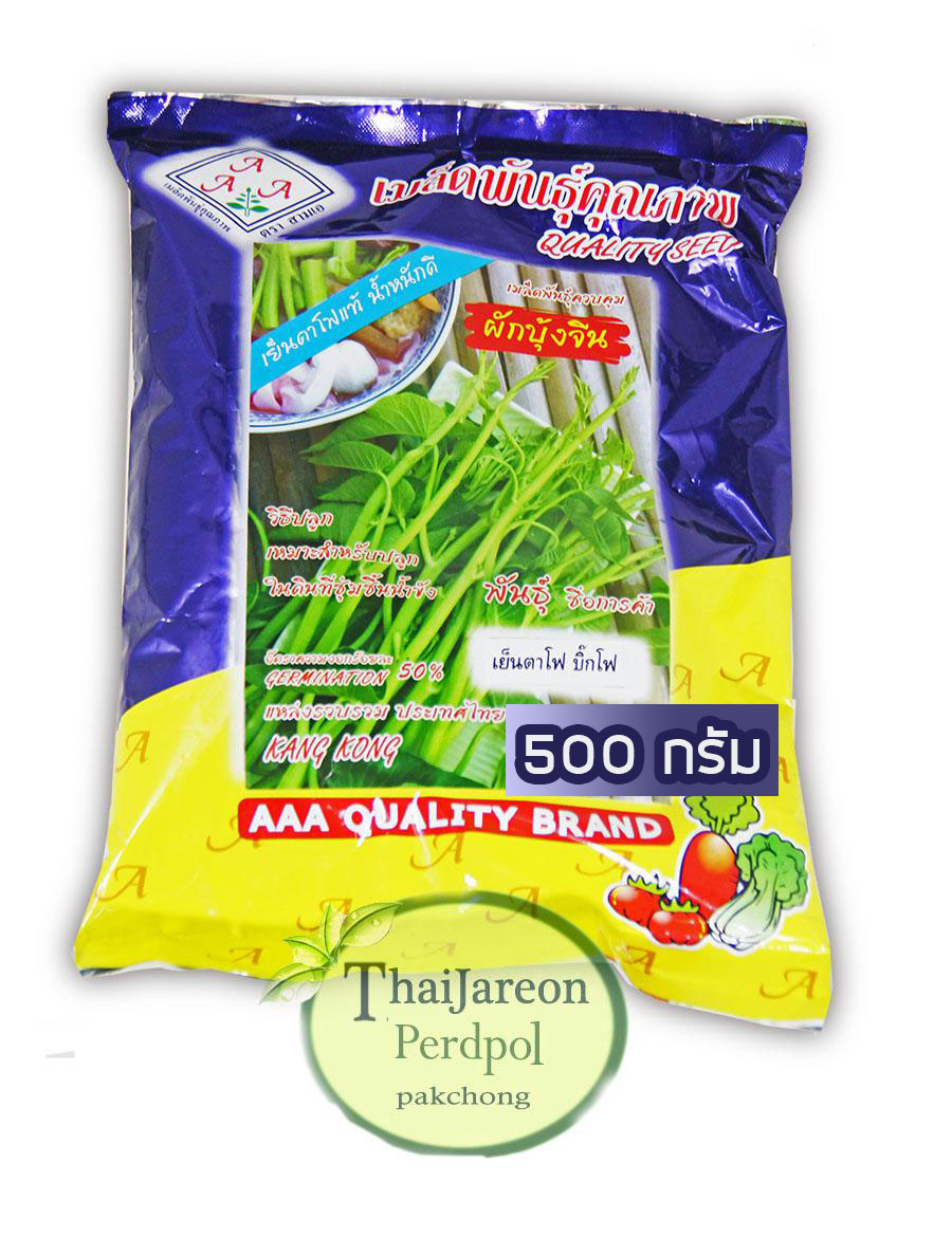 เมล็ดผักบุ้งแก้ว ผักบุ้งเย็นตาโฟ ผักบุ้งบ้องใหญ่ 1 กก ตรา AAA มีแบ่งขาย