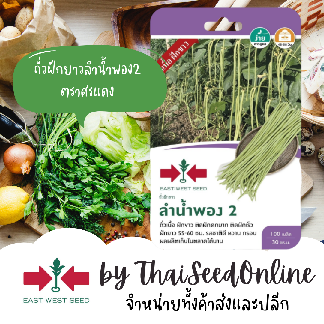 GGEW เมล็ดพันธุ์ ถั่วฝักยาว ลำน้ำพอง2 100 เมล็ด ตราศรแดง