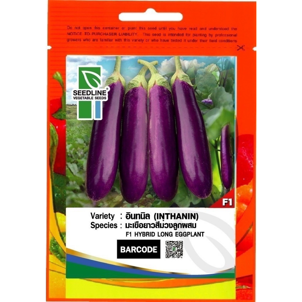 Seed Line(ซีดไลน์) SL เมล็ดพันธุ์ซองเล็ก มะเขือยาวสีม่วง อินทนินท์ ตราซีดไลน์ (Inthanin) Eggplant