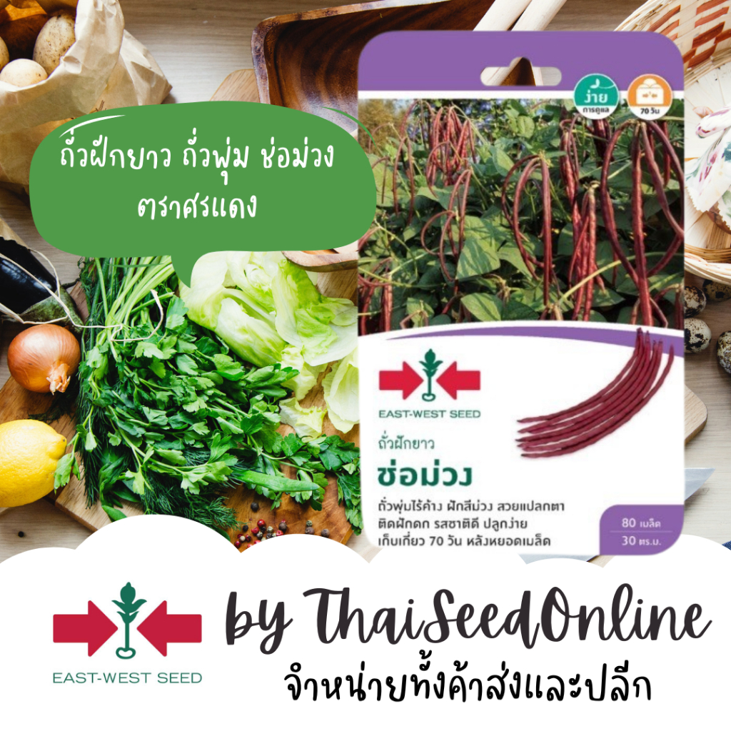 Sorndang(ศรแดง) GGEW ถั่วพุ่ม ถั่วฝักยาวไร้ค้าง ช่อม่วง ตราศรแดง Purple Cowpea
