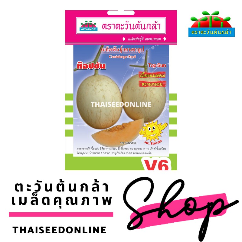 Advance Seeds(ตราตะวันต้นกล้า) ADVOP ซฟ เมล็ดพันธุ์ แคนตาลูปท็อปซัน ตราตะวันต้นกล้า V6