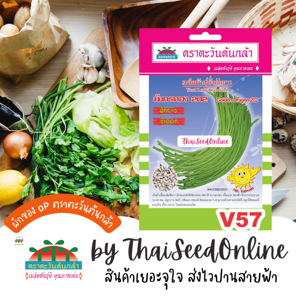 Advance Seeds(ตราตะวันต้นกล้า) ADVOP ซฟ เมล็ดพันธุ์ ถั่วฝักยาว มังกรทอง202 ตราตะวันต้นกล้า V57