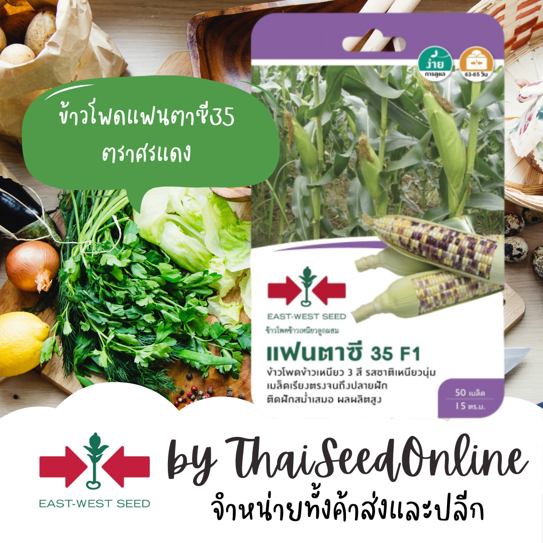 GGEW เมล็ดพันธุ์ซฟ ข้าวโพดข้าวเหนียวแฟนตาซี35 50 เมล็ด ตราศรแดง Corn
