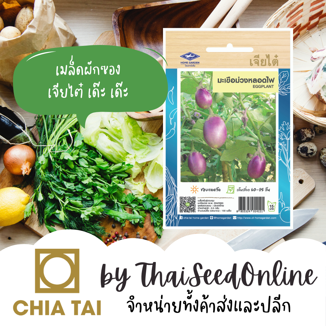 CTOP เมล็ดพันธุ์ มะเขือม่วงหลอดไฟ ตราเจียไต๋ Light Bulb Shaped Purple Eggplant มะเขือเปราะสีม่วง