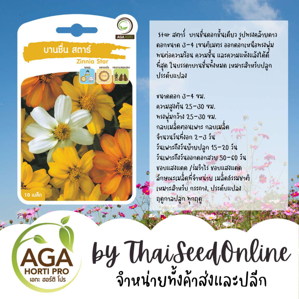 AGA Agro(เอกะ อะโกร) AGAPREMIUM บานชื่นสตาร์ 10เมล็ด ตราเอกะอะโกร Zinnia