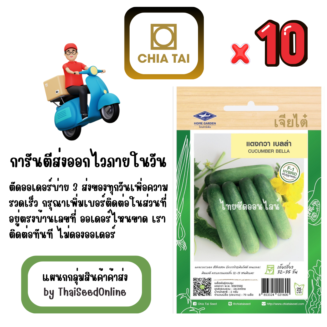 CTF1 x 10 เมล็ดผักซองเจียไต๋ แตงกวา เบลล่า สินค้ายกแพ็ค