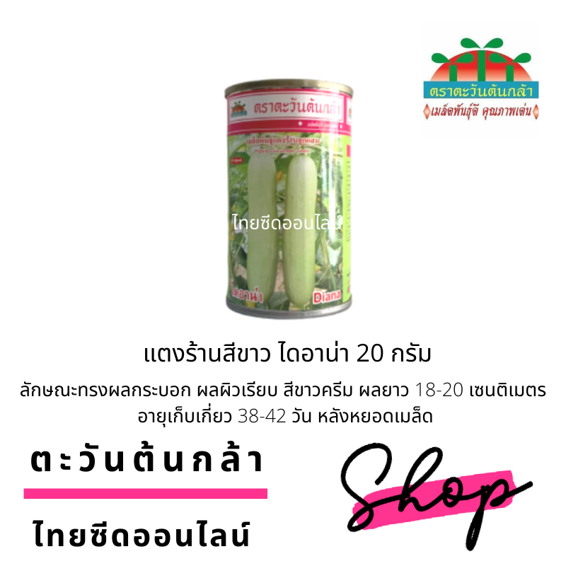 ADV กป 20กรัม เมล็ดพันธุ์ แตงร้านสีขาว ไดอาน่า 20กรัม ตราตะวันต้นกล้า