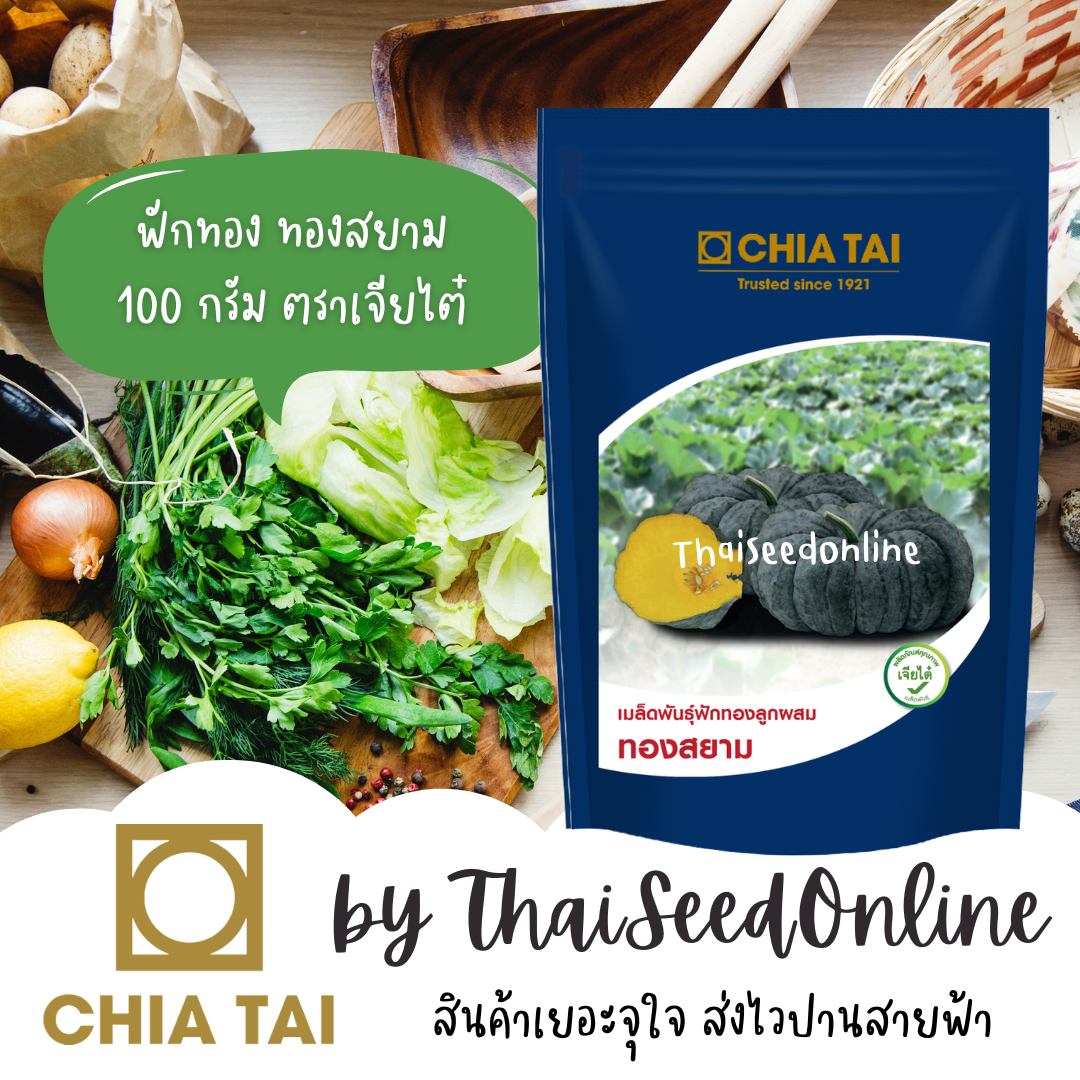 Chia Tai(เจียไต๋) CTCOM 100 กรัม เมล็ดพันธุ์ กป 100 กรัม ฟักทอง ทองสยาม ตราเจียไต๋