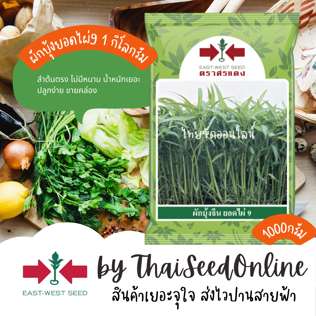 EWCOM Exp. 14/8/69 เมล็ดพันธุ์ ผักบุ้งจีนใบไผ่ ยอดไผ่ 9 ตราศรแดง 1 กิโลกรัม ตราศรแดง Chinese Convolvulus ยอดไผ่9