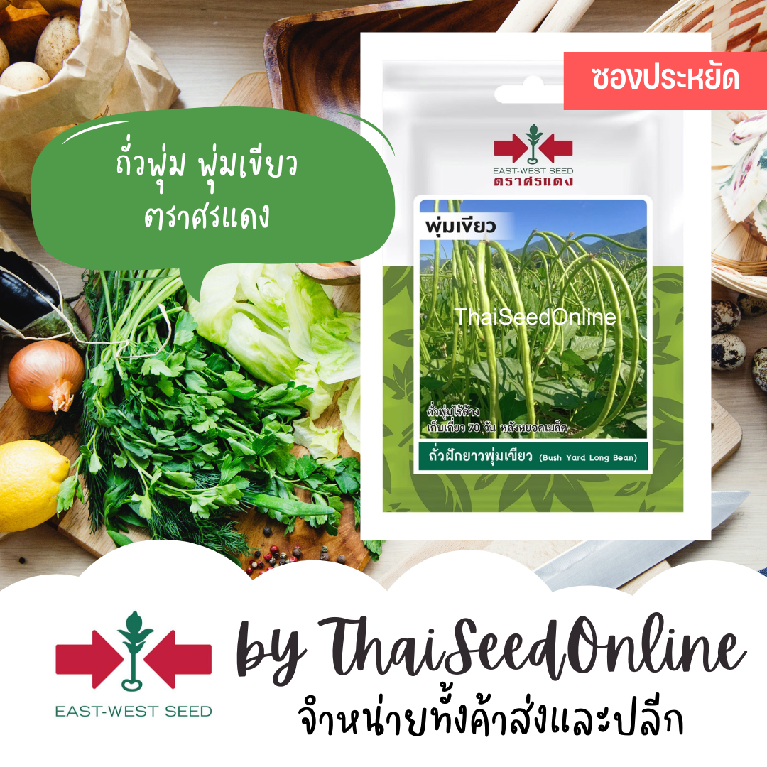 ศรแดง VP3 ซฟ เมล็ดพันธุ์ ถั่วฝักยาวพุ่มเขียว พุ่มเขียว 40 เมล็ด ตราศรแดง Cowpea