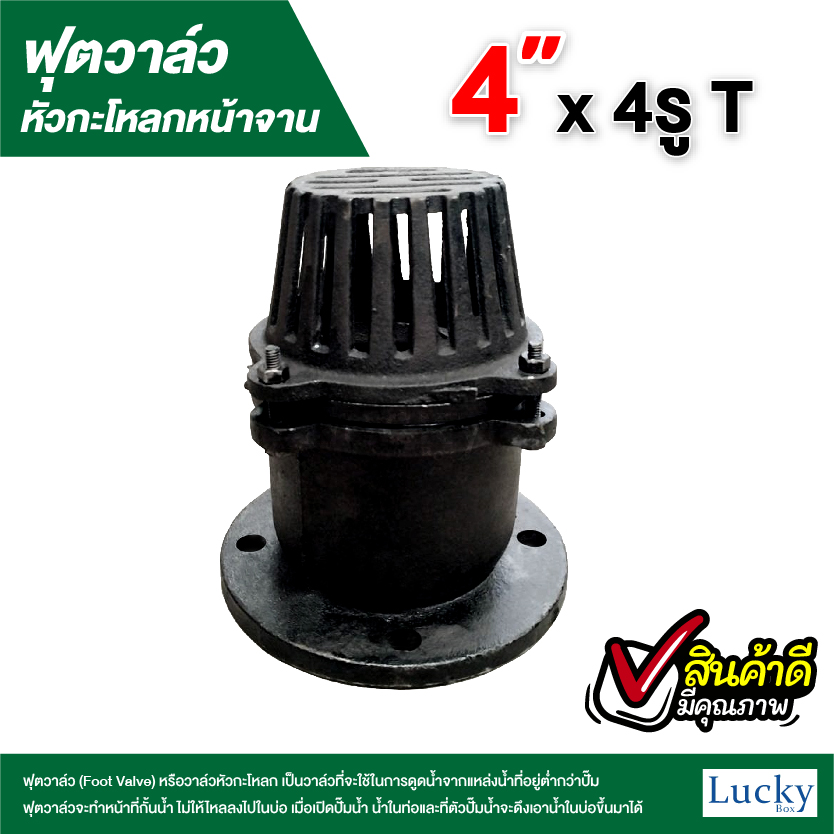 ฟุตวาล์ว (Foot Valve) วาล์วหัวกะโหลก หน้าจาน เหล็กหล่อ ขนาด 4 นิ้ว