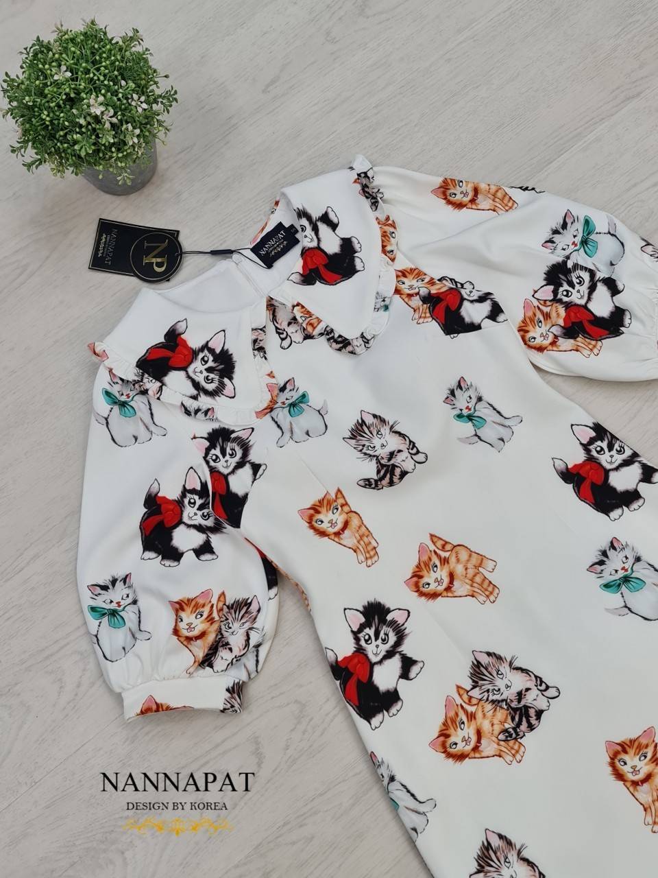 งานซิปหลัง ปกคอน่ารัก