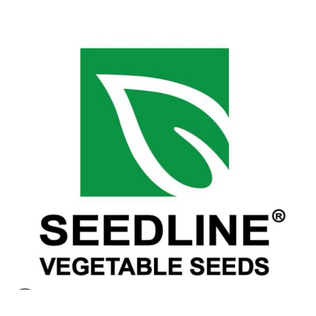 Seed Line(ซีดไลน์) SL เมล็ดพันธุ์ซองเล็ก มะเขือยาวสีม่วง อินทนินท์ ตราซีดไลน์ (Inthanin) Eggplant