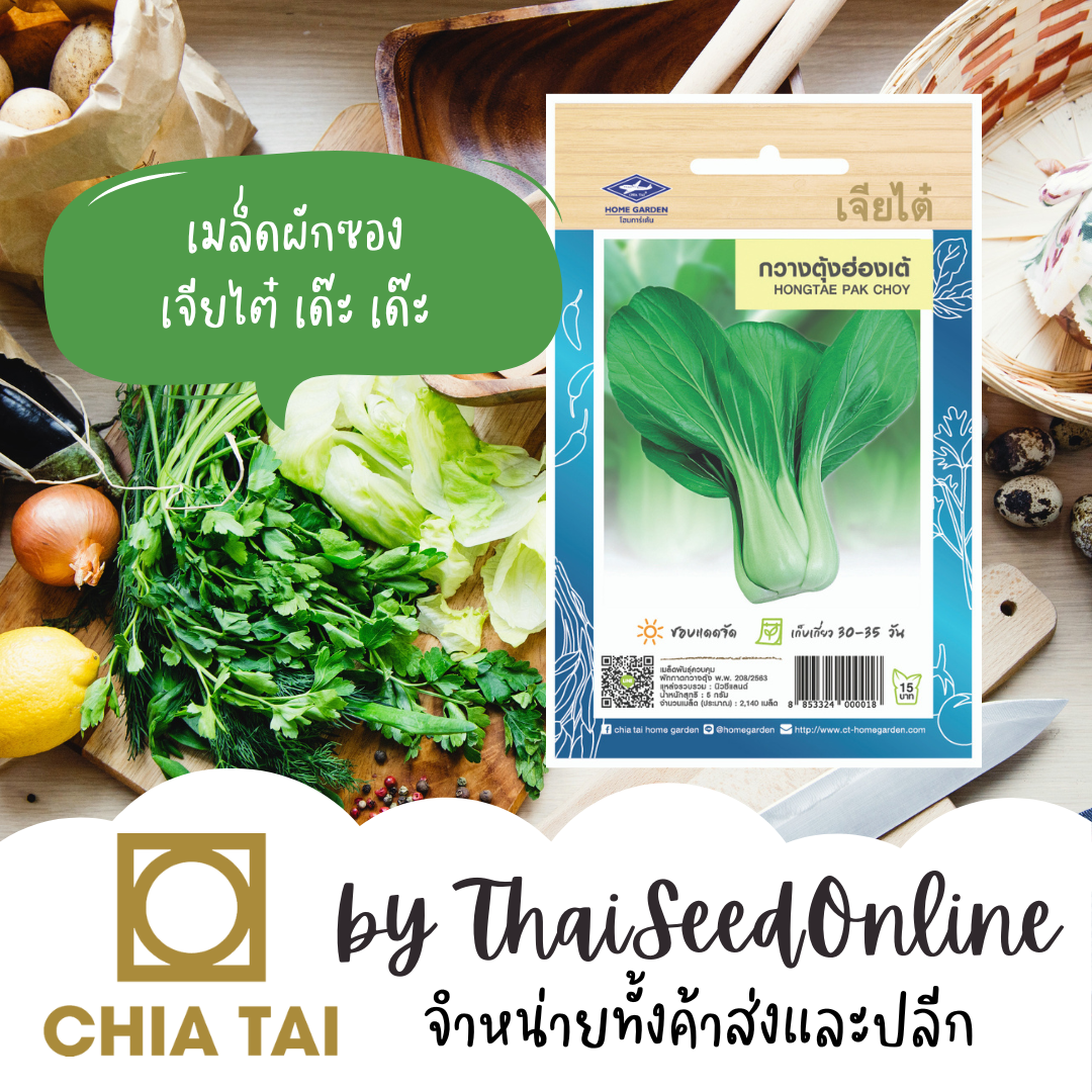 CTOP เมล็ดพันธุ์ กวางตุ้งฮ่องเต้ 1100 เมล็ด ตราเจียไต๋ Pak Choi Hongtae