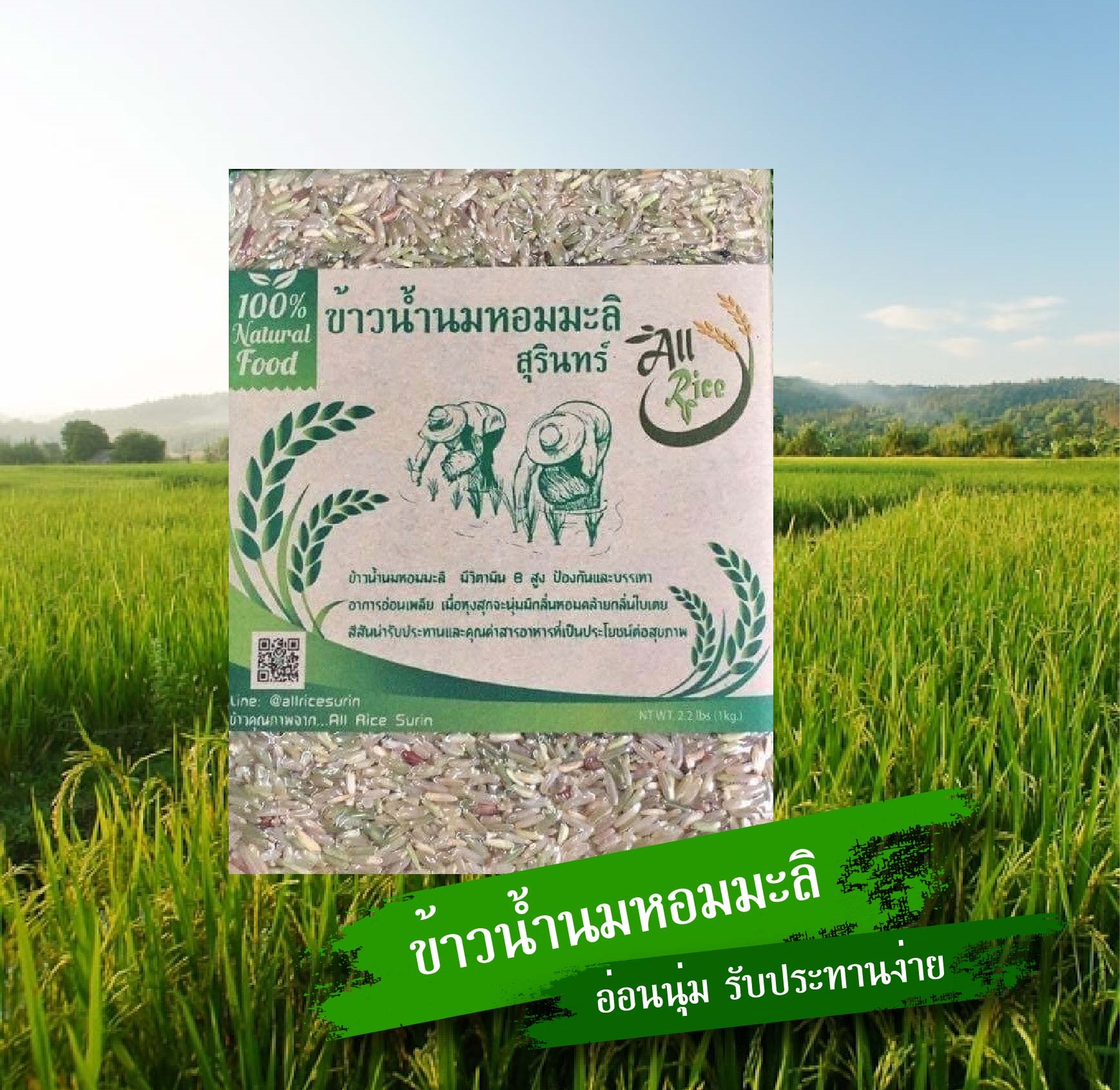 ข้าวน้ำนมหอมมะลิสุรินทร์ ขนาด 1 กก.