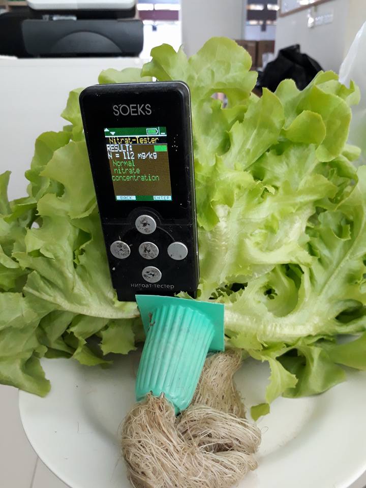 ถาดเพาะไฮโดรโปนิกส์ ถาดเพาะชำ ถาดเพาะกล้าสีเขียว 80 หลุม