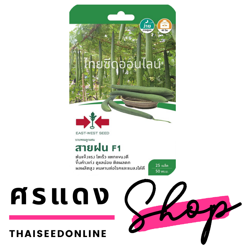 GGEW เมล็ดพันธุ์ซฟ บวบหอมสายฝน ตราศรแดง บวบหอมลูกยาว Sponge Gourd