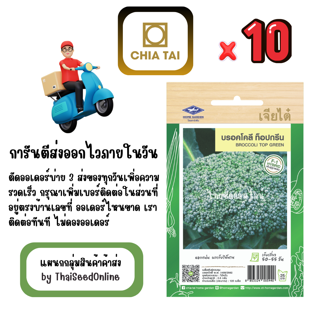 CTF1 x 10 เมล็ดผักซองเจียไต๋ บล็อคโคลี ท็อปกรีน สินค้ายกแพ็ค