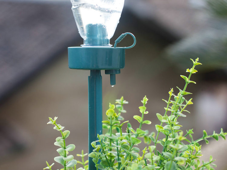 หัวน้ำหยด หัวขวดน้ำหยด รดน้ำต้นไม้ด้วยตัวเอง