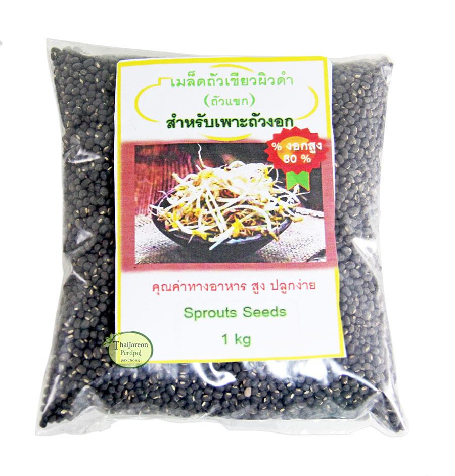 เมล็ดถั่วงอก ถั่วเขียวผิวดำ ถั่วแขก สำหรับปลูกถั่วงอกโดยเฉพาะ เมล็ดพันธ์ุเพาะถั่วงอก Bean Sprouts seeds