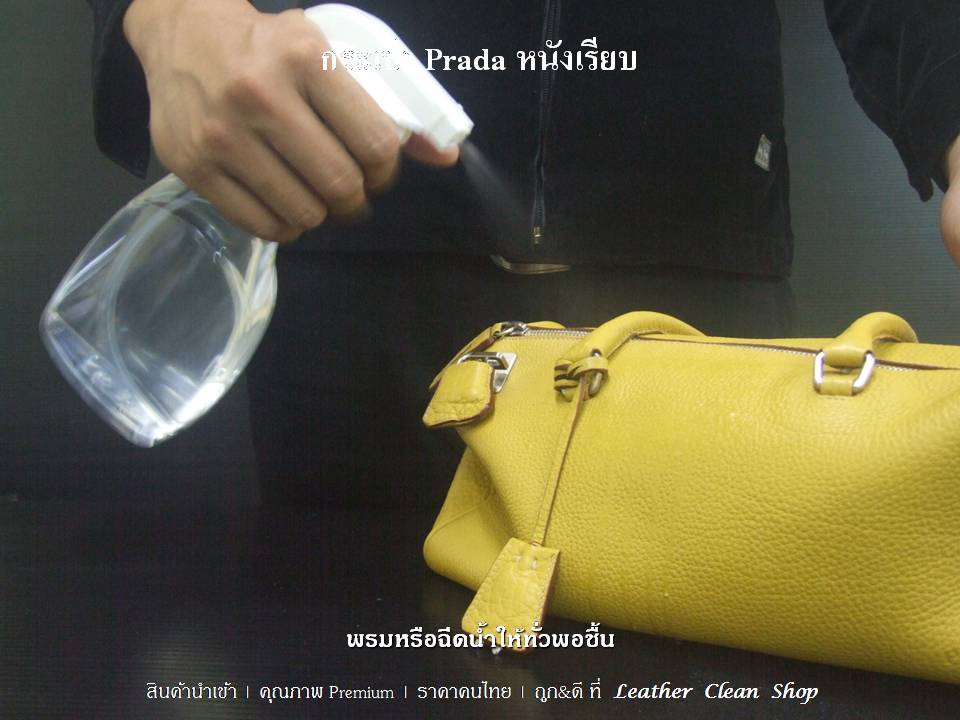 แชมพูทำความสะอาดหนังทุกชนิด ผ้าใบ หนังสังเคราะห์ ทีอาร์จี All Leather Shampoo TRG (Foam Cleaner) PRADA