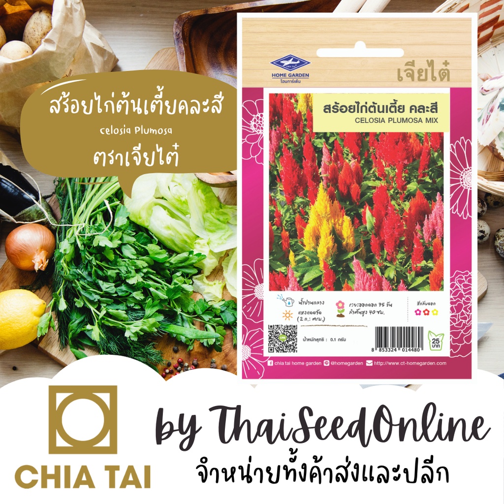 CTFW สร้อยไก่ สร้อยไก่ต้นเตี้ยคละสี 0.1กรัม ตราเจียไต๋ เมล็ดพันธุ์ดอกไม้ Celosia Plumasa