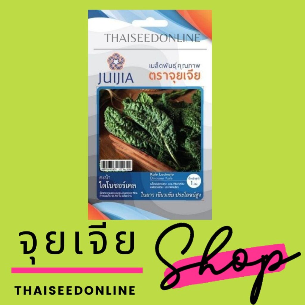 JJ เมล็ดพันธุ์ จุยเจีย ไดโนซอร์เคล คะน้าไดโนเสาร์ เคล ไดโนเสาร์ คะน้า Kale