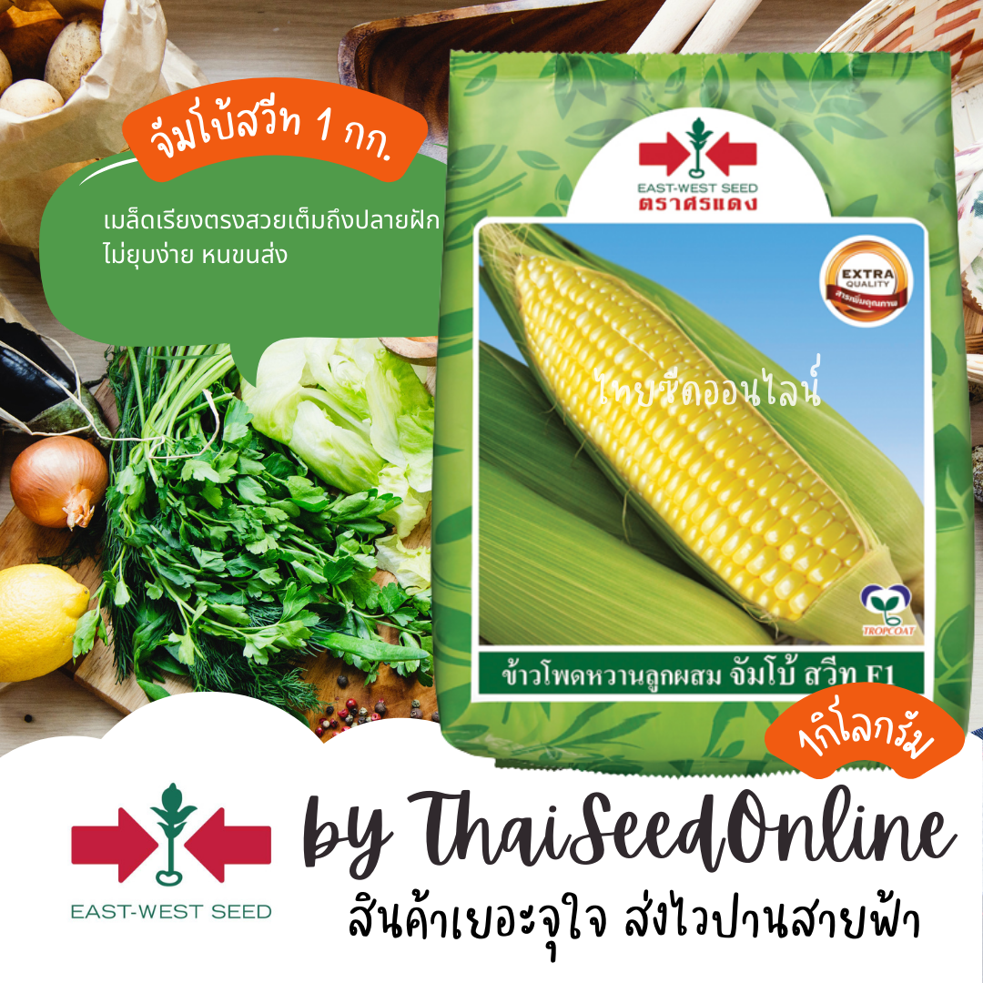 EWCOM 1 กก. ใหม่ หมดอายุ 12/2568 เมล็ดพันธุ์ ข้าวโพดหวานจัมโบ้สวีท ตราศรแดง Sweet Corn