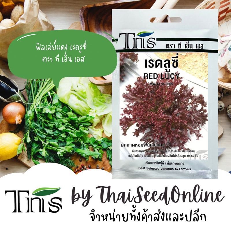 TNS(ทีเอ็นเอส) TNS เมล็ดพันธุ์แบบซองเล็ก ฟิลเลย์แดง เรดลูซี่ ตรา ที เอ็น TNS Red Fillet Lettuce