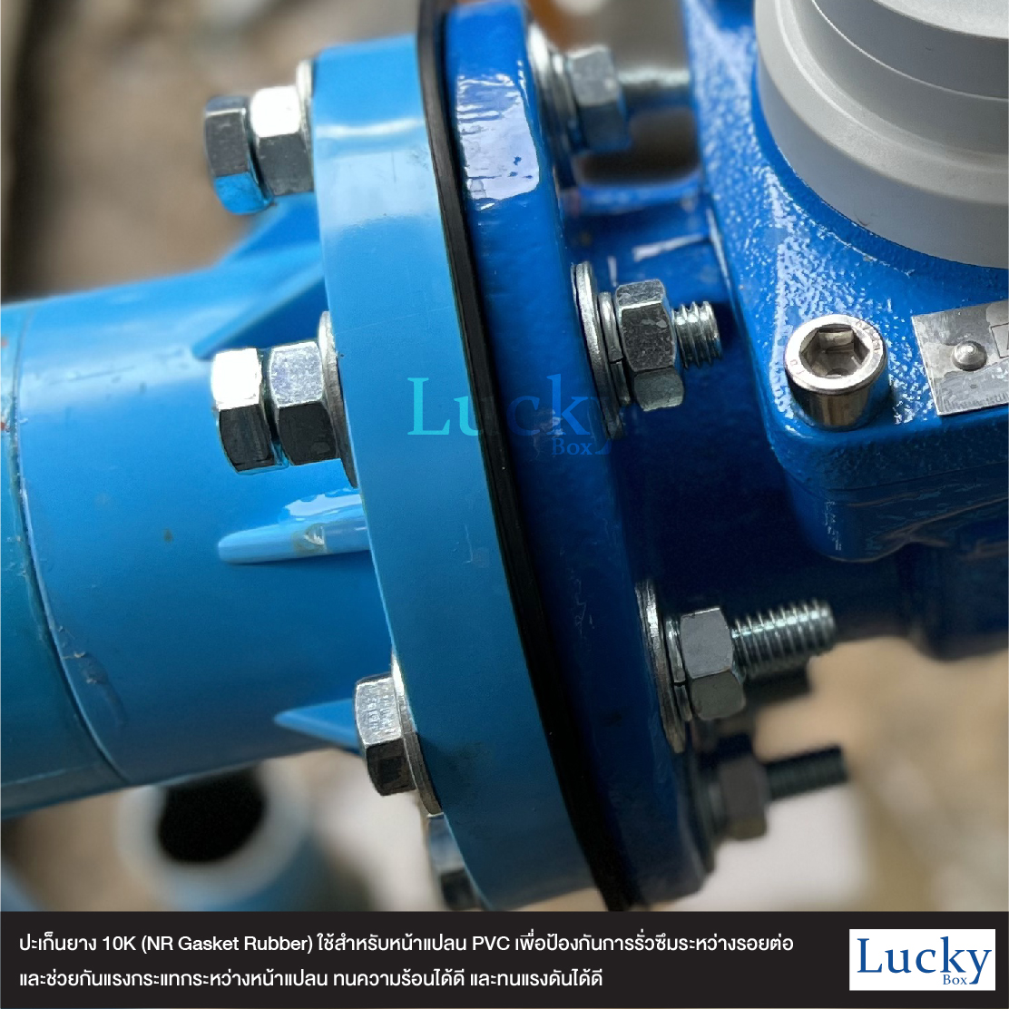ปะเก็นยาง 10K ขนาด 6 นิ้ว (NR Gasket Rubber) ปะเก็นยางสำหรับหน้าแปลน PVC