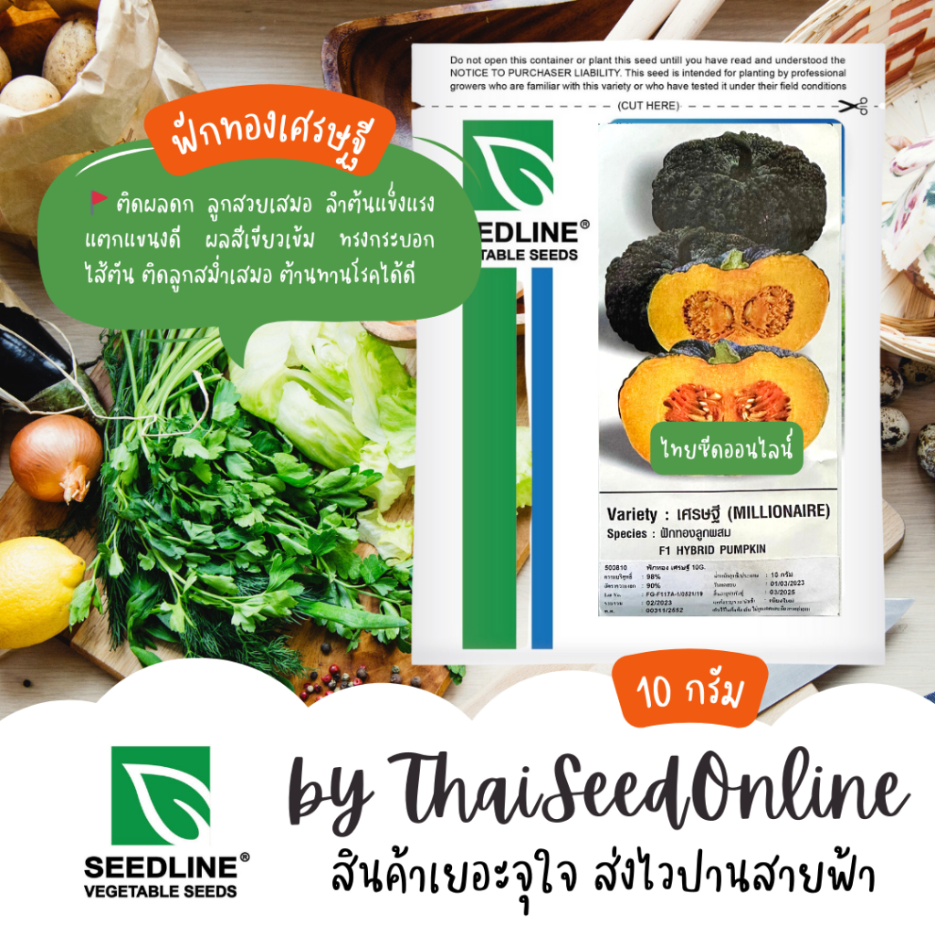 Seed Line(ซีดไลน์) ซอง 10 กรัม เมล็ดพันธุ์ ฟักทอง เศรษฐี ตราซีดไลน์ Pumpkin