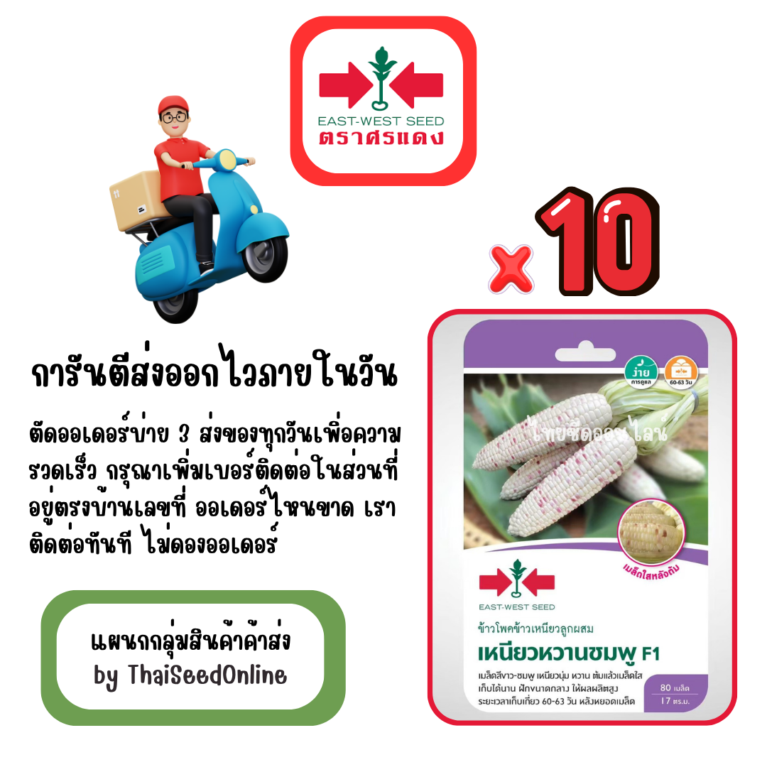 GGx10 เมล็ดผักซองศรแดง เหนียวหวานชมพู ข้าวโพด สินค้ายกแพ็ค