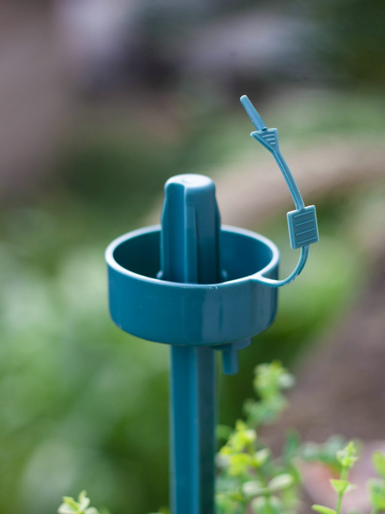 หัวน้ำหยด หัวขวดน้ำหยด รดน้ำต้นไม้ด้วยตัวเอง