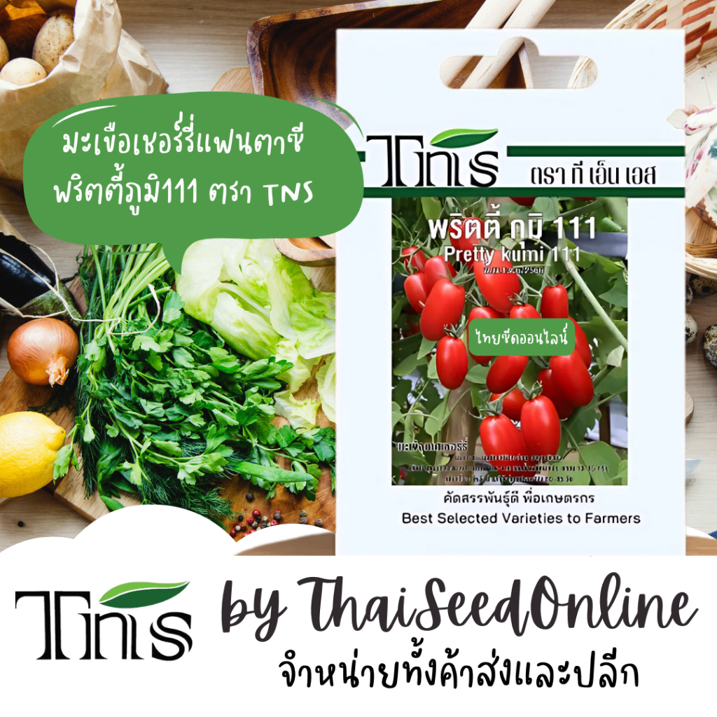 Chia Tai(เจียไต๋) TNS(ทีเอ็นเอส) TNS เมล็ดพันธุ์แบบซองเล็ก มะเขือเชอร์รี่ พริตตี้ภกุมิ 111 ตรา ที เอ็น เอส