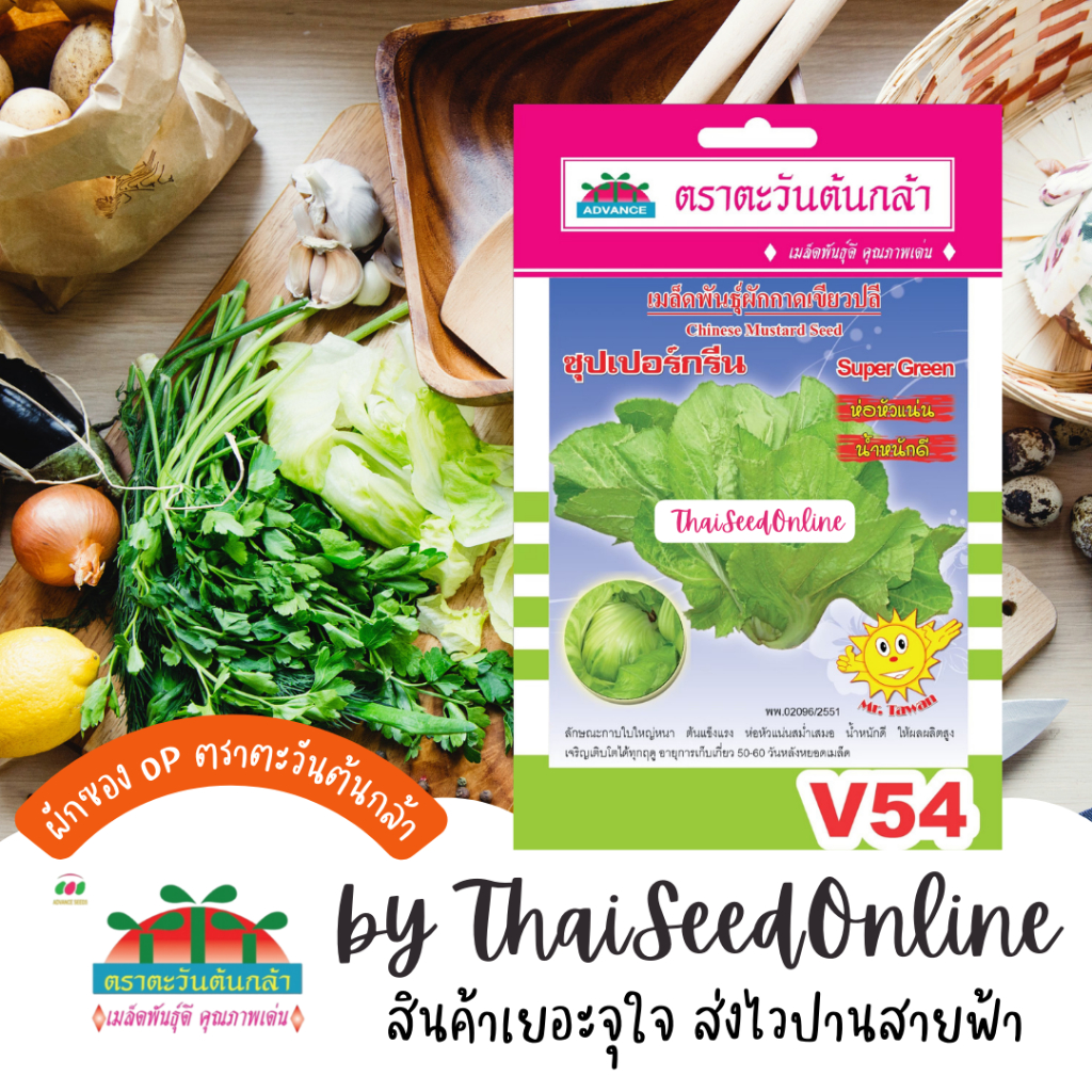 Advance Seeds(ตราตะวันต้นกล้า) ADVOP ซฟ เมล็ดพันธุ์ เขียวปลี ซุปเปอร์กรีน ตราตะวันต้นกล้า V54