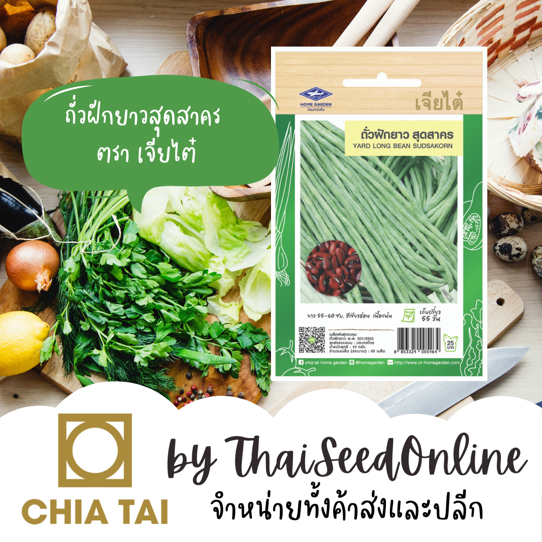 CTF1 เมล็ดพันธุ์ ถั่วฝักยาวสุดสาคร 65 เมล็ด ตราเจียไต๋ ถั่วเนื้อ ถั่วฝักยาวพันธุ์เนื้อ