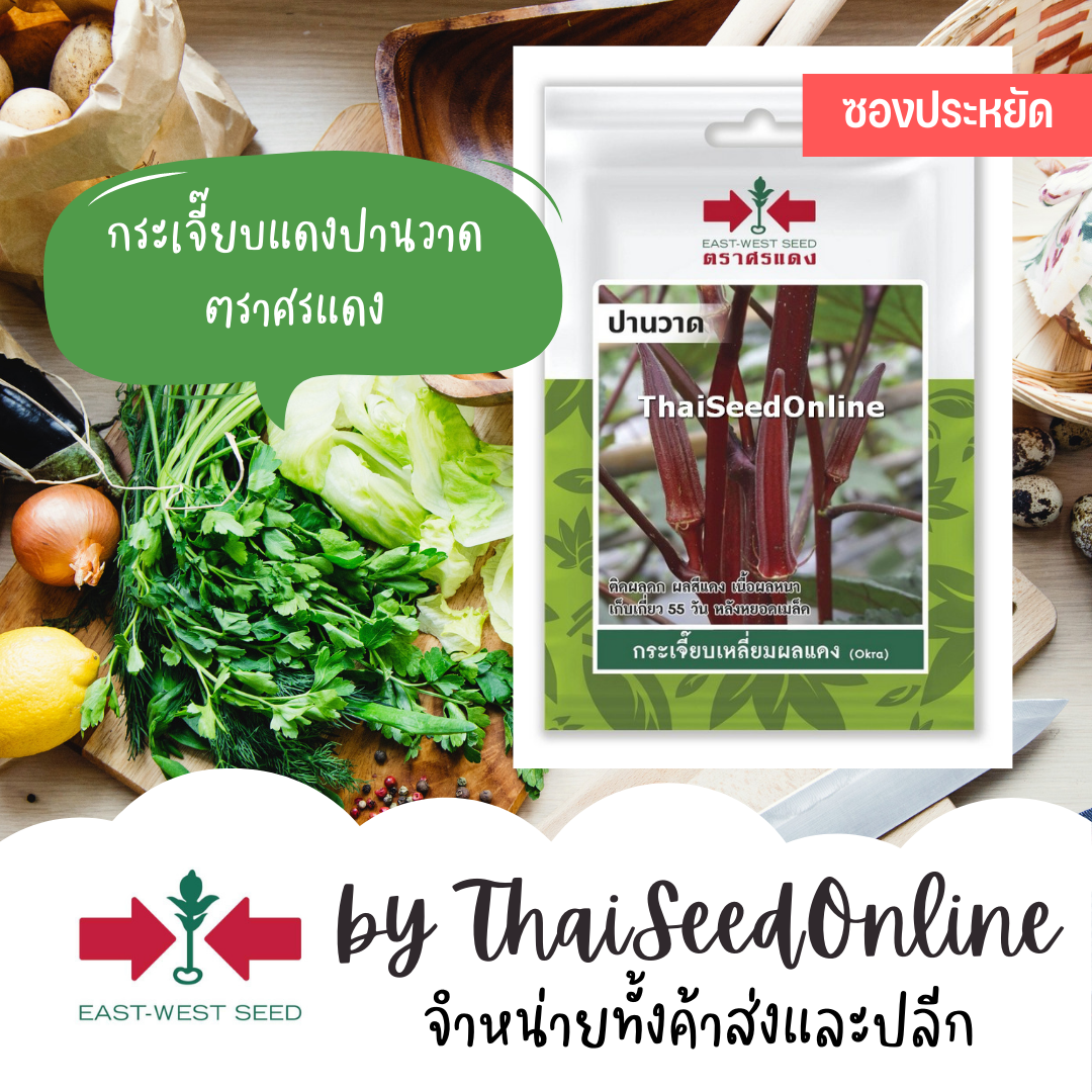 ศรแดง VP3 ซฟ เมล็ดพันธุ์ กระเจี๊ยบเหลี่ยมผลแดง ปานวาด ตราศรแดง Okra 100เมล็ด