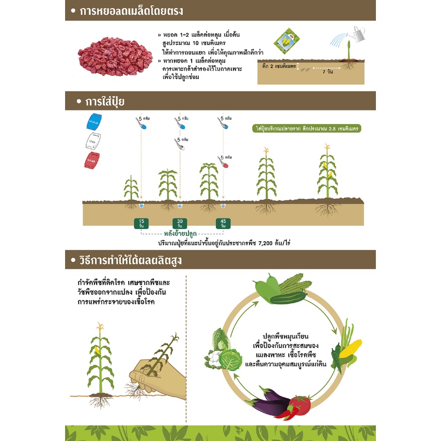 EWCOM 200กรัม ข้าวโพดลูกผสมข้าวโพดข้าวเหนียว เหนียวหวานทับทิม ตราศรแดง Corn