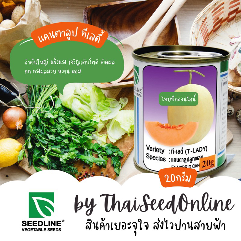 Seed Line(ซีดไลน์) SLCOM เมล็ดพันธุ์ แคนตาลูป ทีเลดี้โกลด์ 20กรัม ตราซีดไลน์ Cantaloupe T-Lady Gold